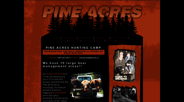 pineacresbearcamp.ca