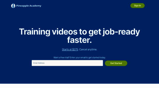 pineappleacademy.com