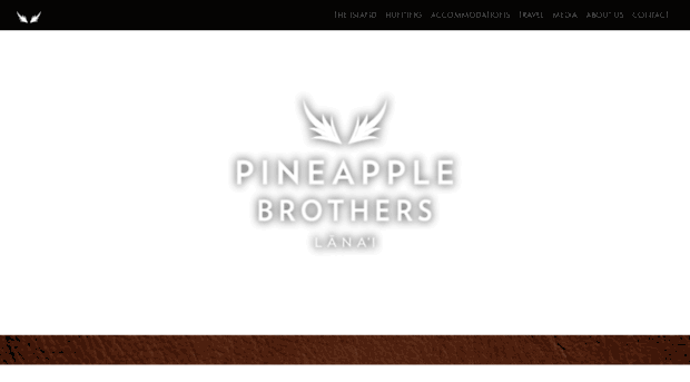 pineapplebrothers.com