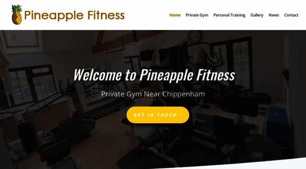 pineapplefitness.co.uk