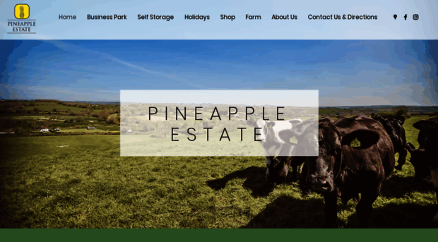 pineapplegroup.co.uk