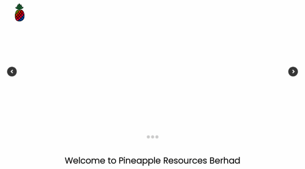 pineappleresources.com.my