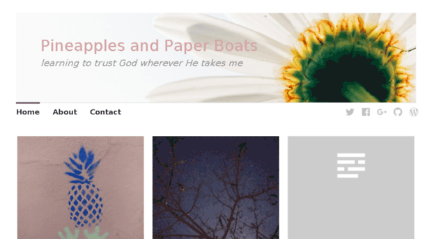 pineapplesandpaperboats.wordpress.com