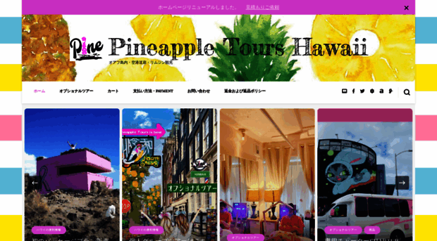 pineappletours.com