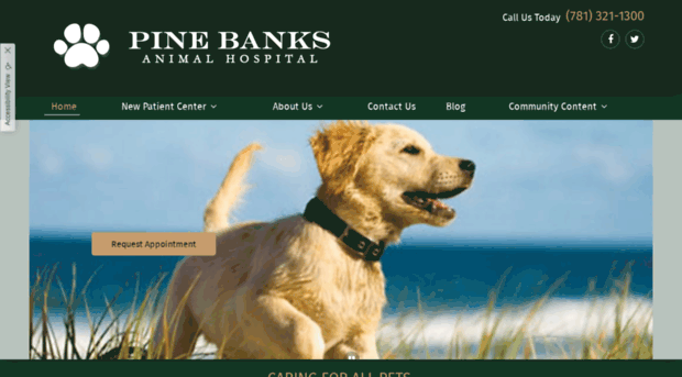 pinebanksanimalhospital.com