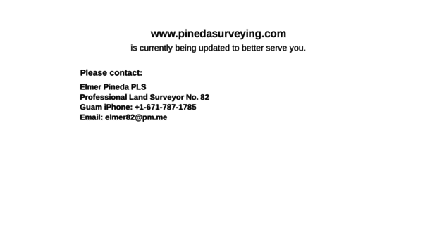 pinedasurveying.com