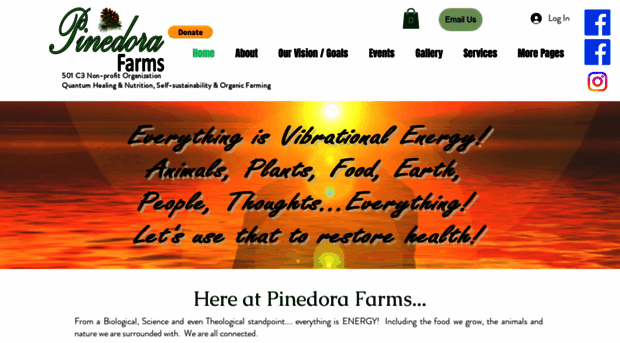 pinedorafarms.com