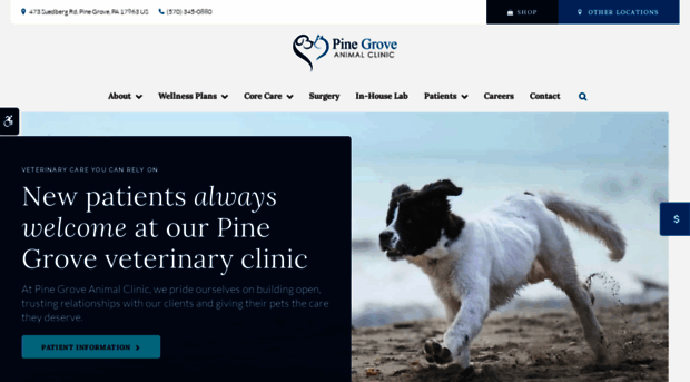 pinegroveanimalclinic.com