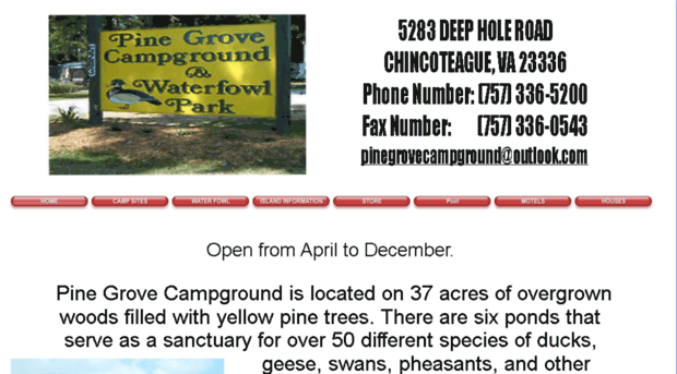 pinegrovecampground.com