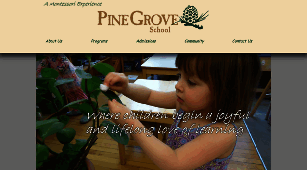 pinegrovecenter.com