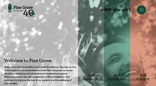 pinegrovetreatment.com