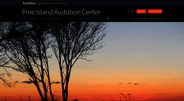 pineisland.audubon.org