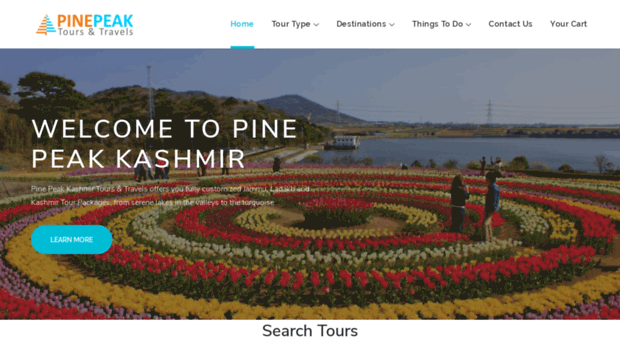 pinepeakkashmir.com