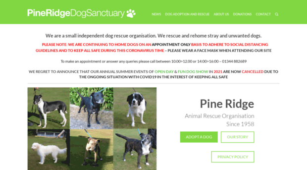 pineridgedogsanctuary.org.uk