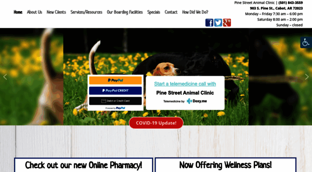 pinestreetanimalclinic.com