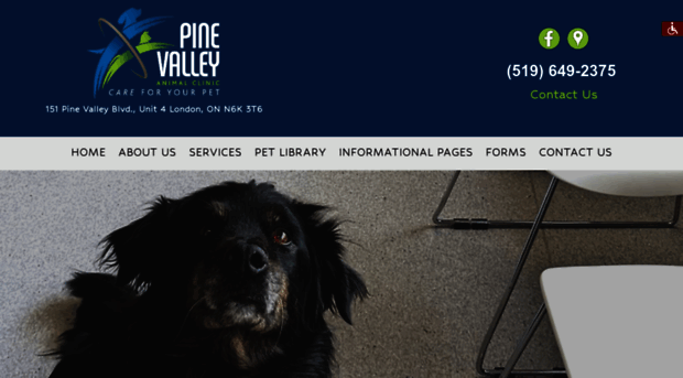 pinevalleyanimal.ca