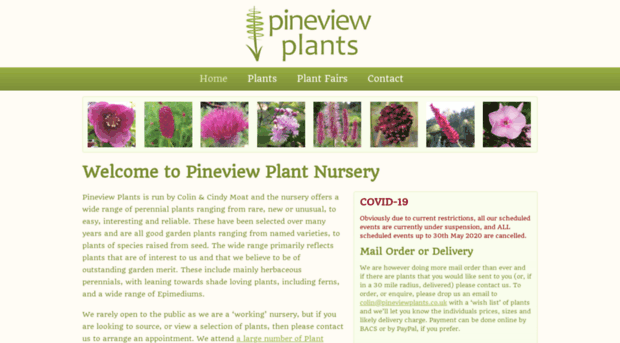 pineviewplants.co.uk