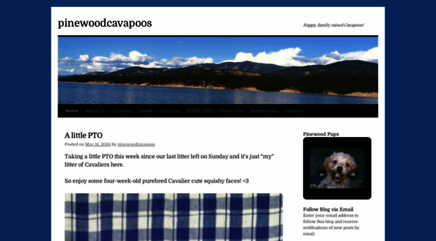 pinewoodcavapoos.com