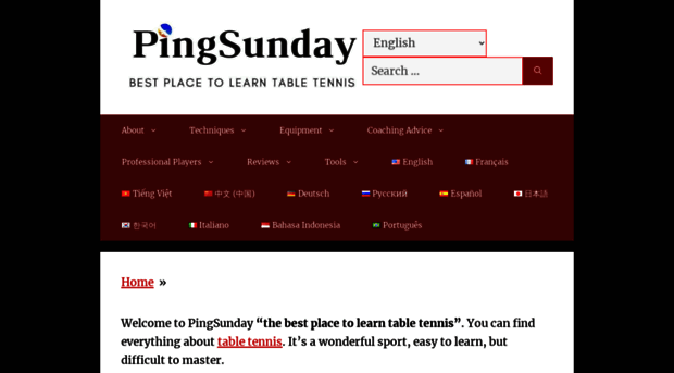 pingsunday.com