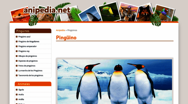 pinguinos.anipedia.net