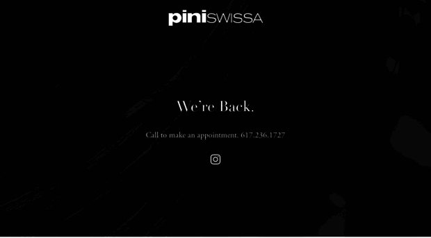 piniswissa.com