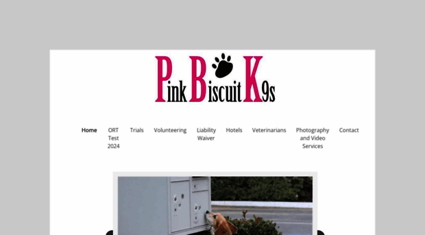 pinkbiscuitk9s.com
