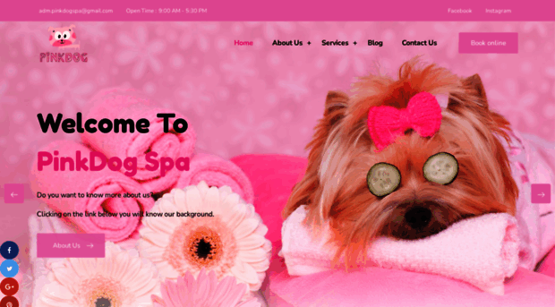pinkdogspa.com