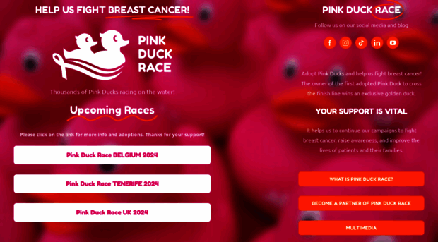 pinkduckrace.com