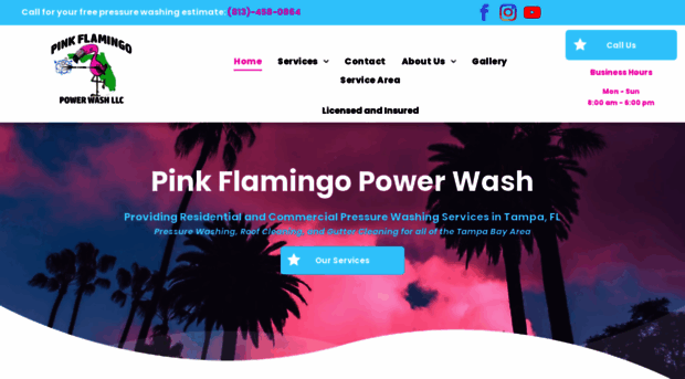 pinkflamingopowerwash.com