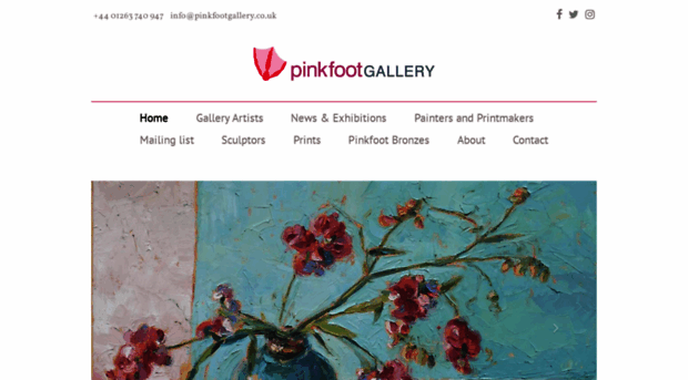 pinkfootgallery.co.uk