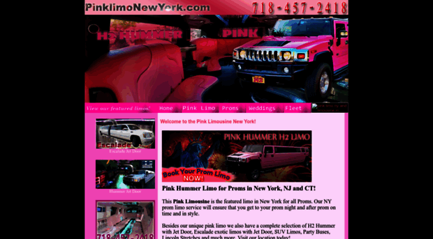 pinklimonewyork.com