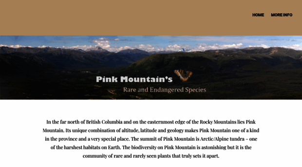 pinkmountain.ca