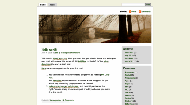 pinkofcondition.wordpress.com