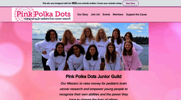 pinkpolkadotsguild.com