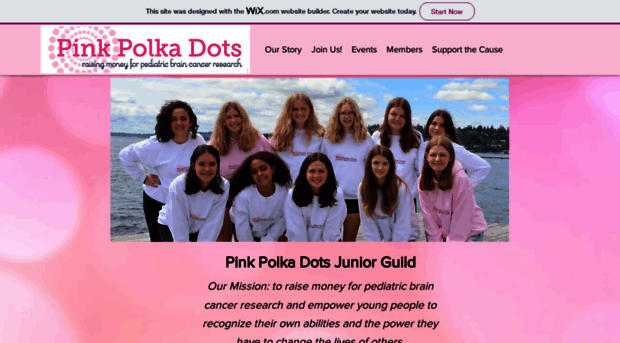 pinkpolkadotsguild.org