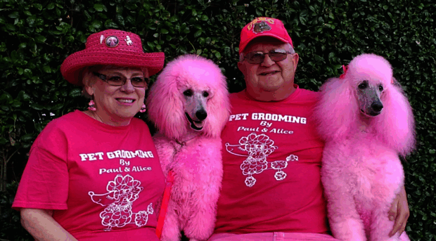 pinkpoodlemaconga.com