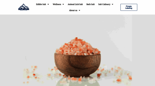 pinksaltpakistan.com