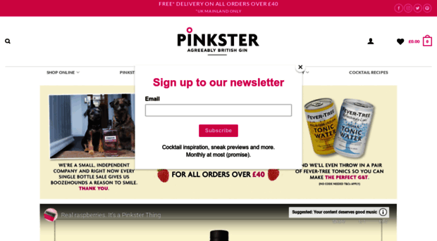 pinkstergin.com