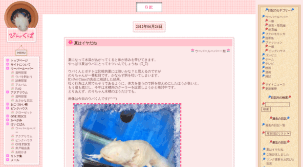 pinkupa.com