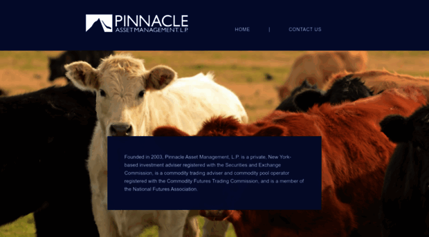 pinnacle-lp.com