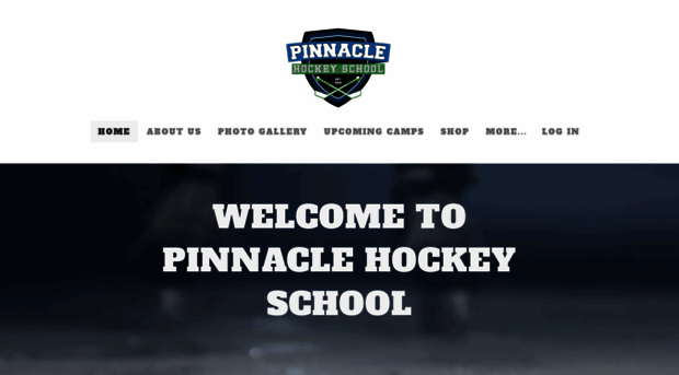 pinnaclehockeyschool.com
