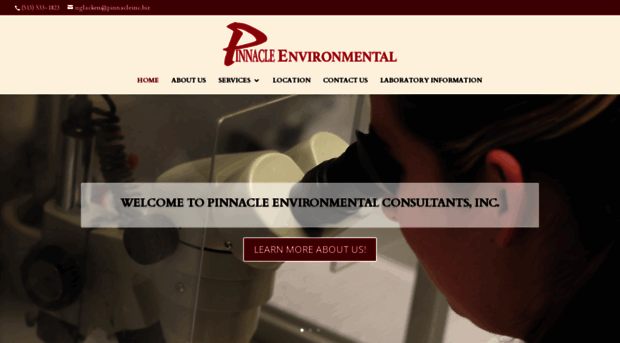 pinnacleinc.biz