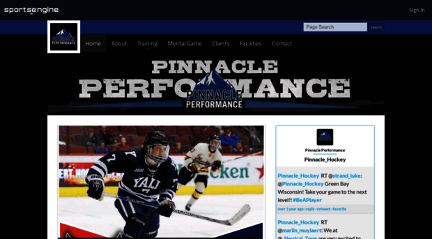 pinnacleperformancehockey.com