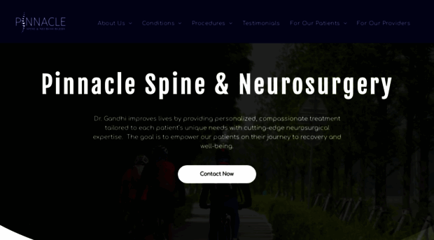 pinnaclespine.com