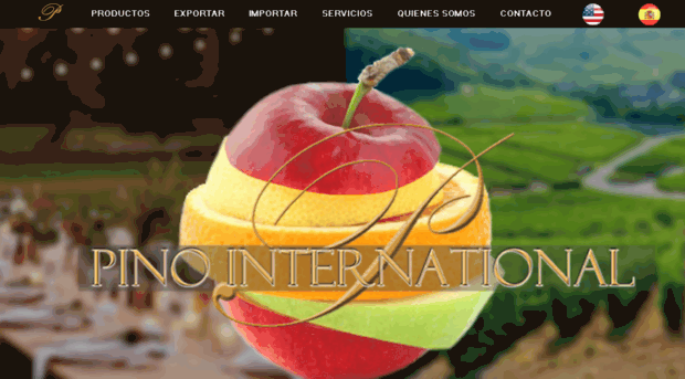 pinointernational.com