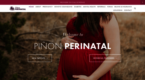 pinonperinatal.com