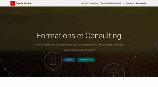 pinpoint-conseil.com