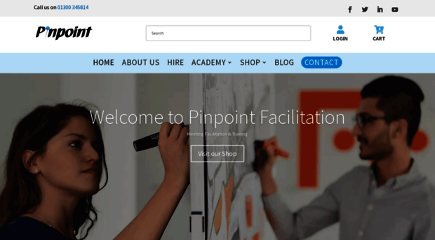 pinpointfacilitation.com