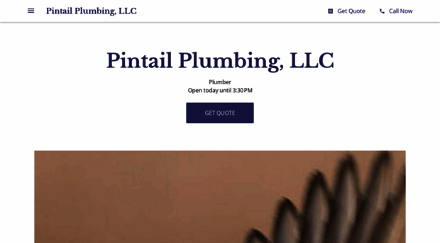 pintail-plumbing-llc.business.site