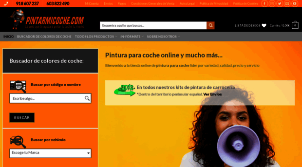 pintarmicoche.com